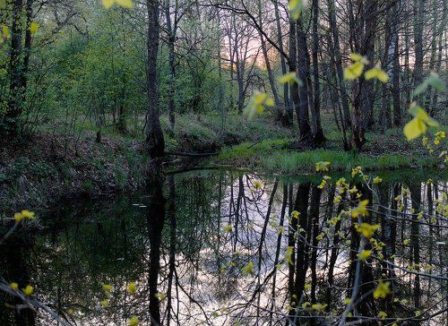 Pro магию Мещёрских стариц...