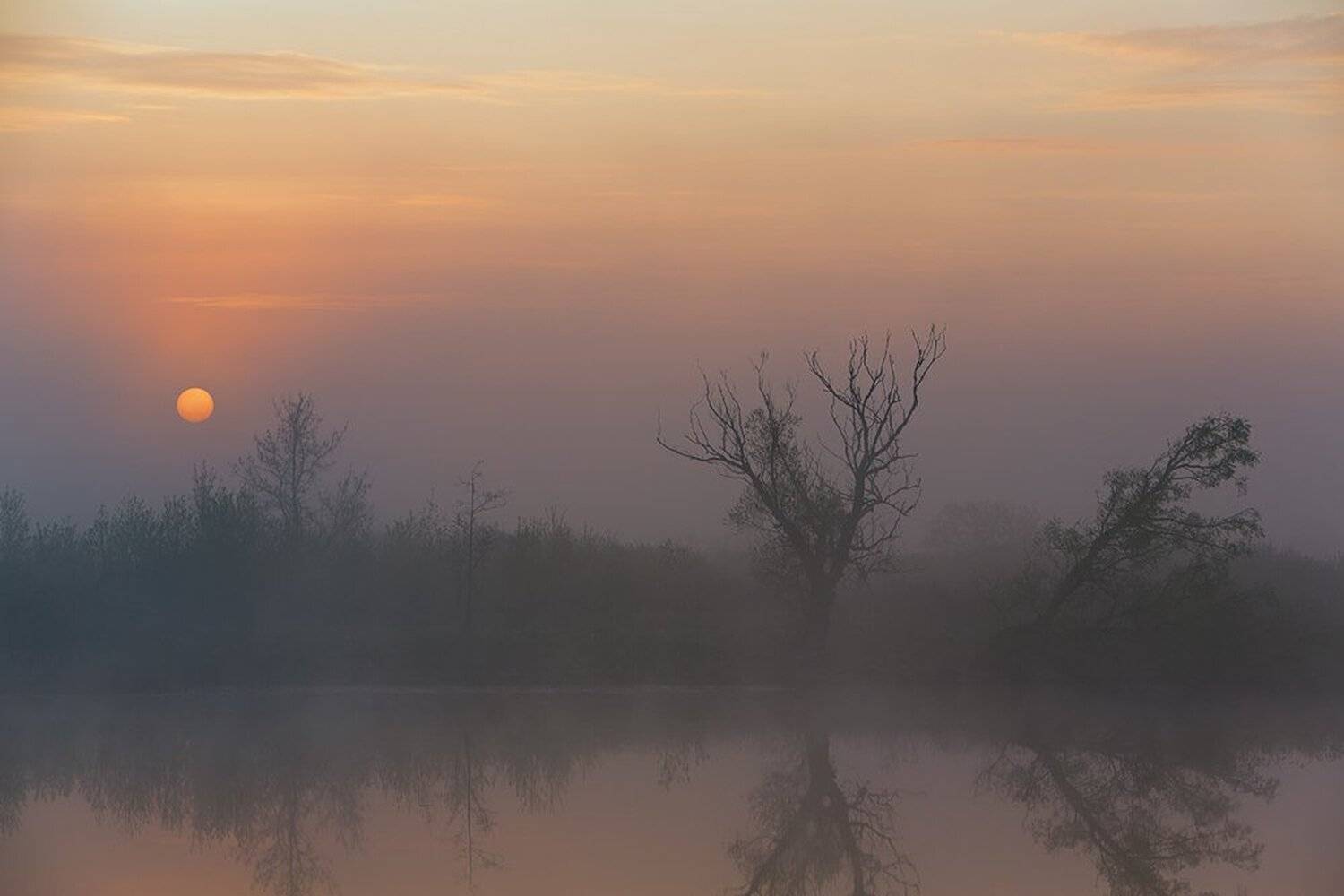 , Юрий Сорокин