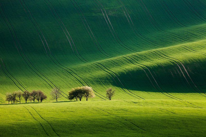 Czech republic, Fields, Green, Light, South moravia, Spring, Trees, Waves Stripe of Light фото превью
