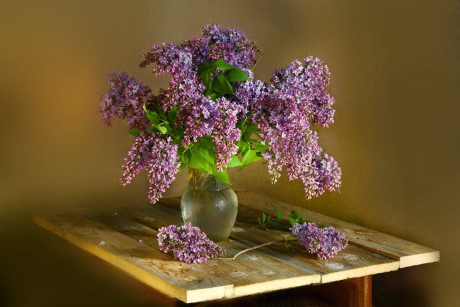 Букет сирени, Сирень, Вера Павлухина