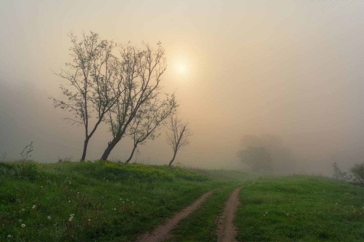 , Жмак Евгений