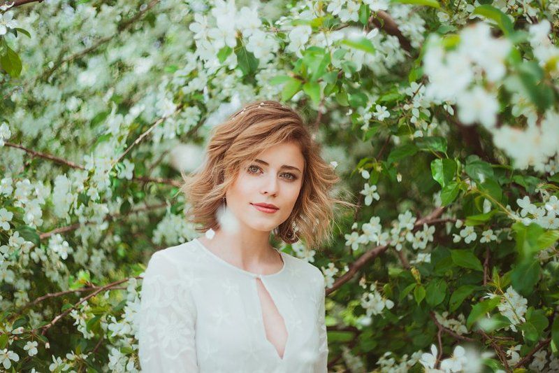 Яблони фото превью