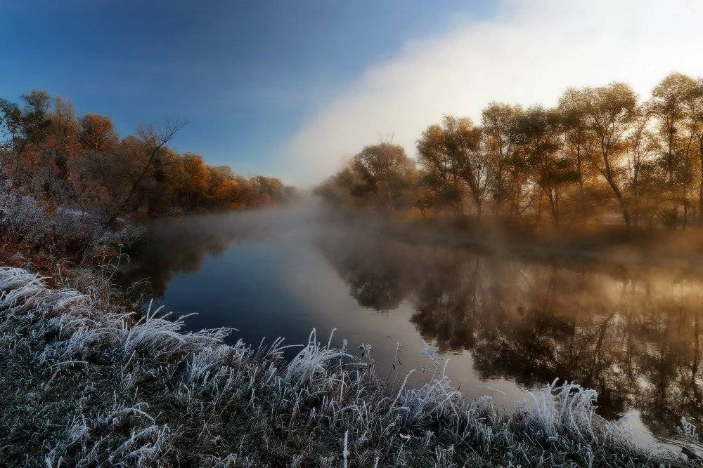 , Петриченко Валерий