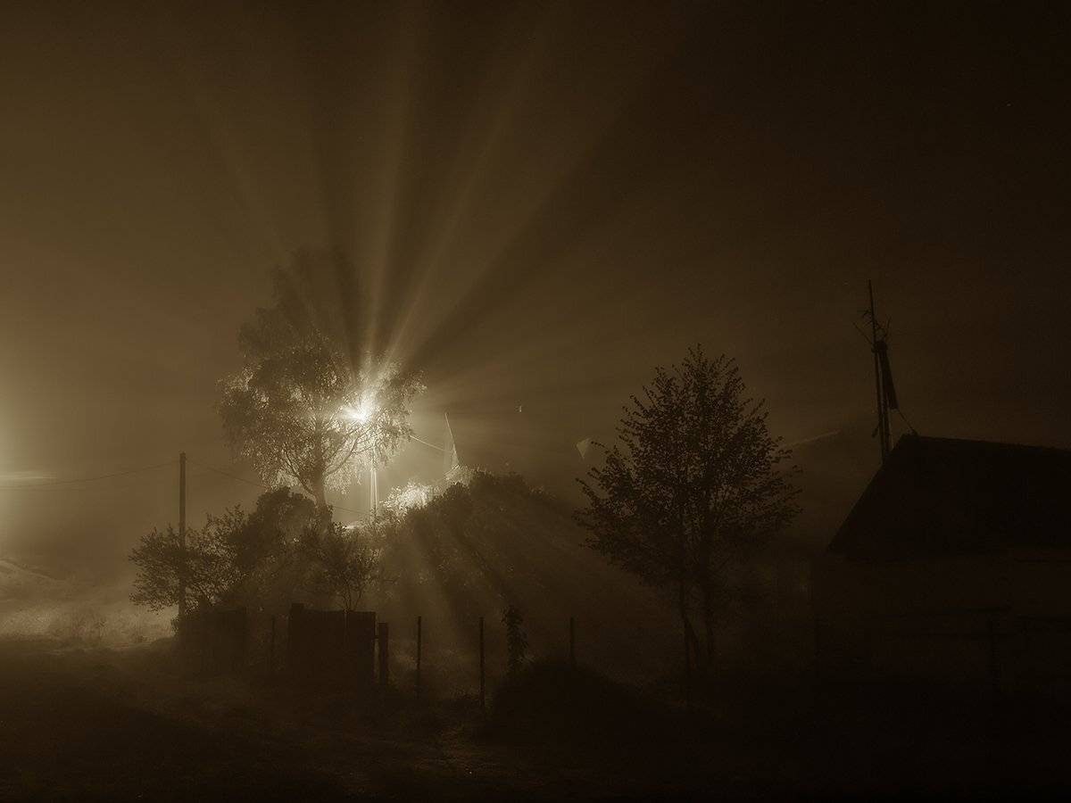 , Владимир Перепечаев