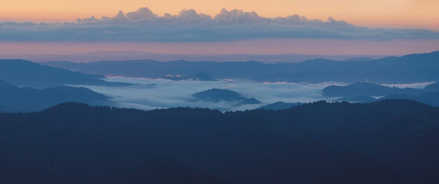 , Ярослав Тюрменко (Jaremi)