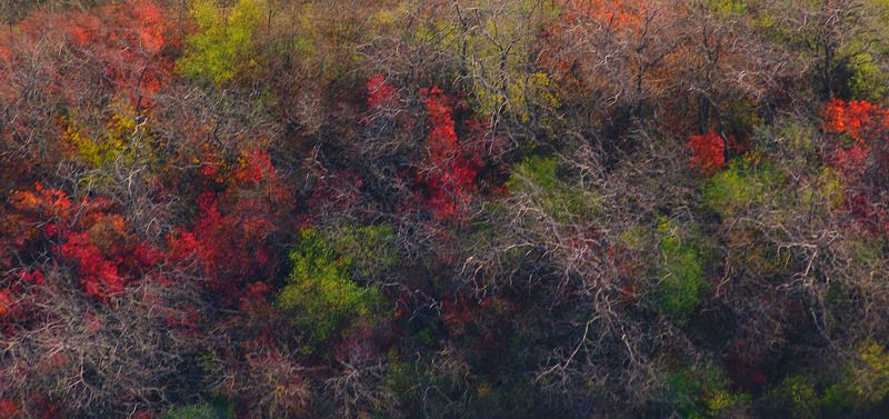 Кляксы фото превью