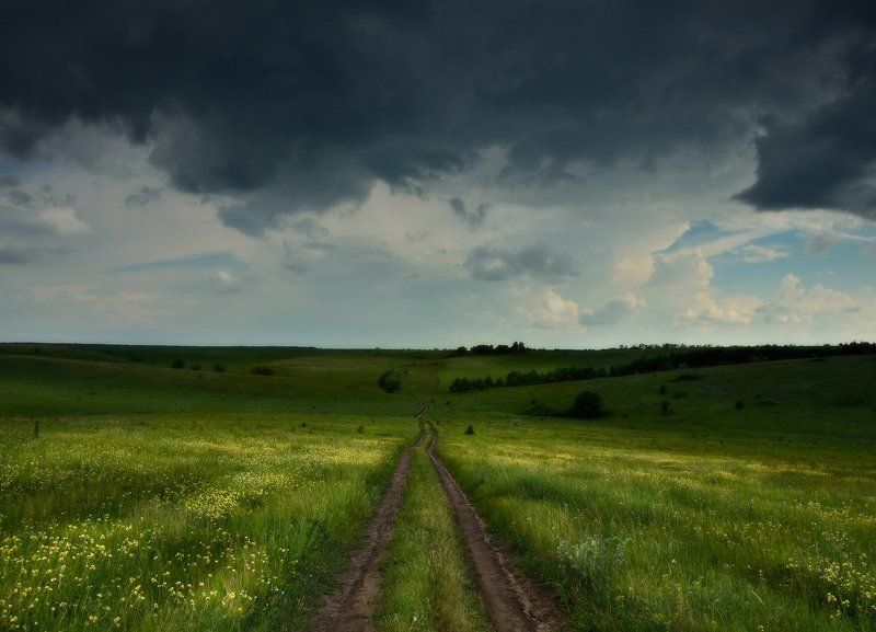 Разгулялась в поле непогода фото превью