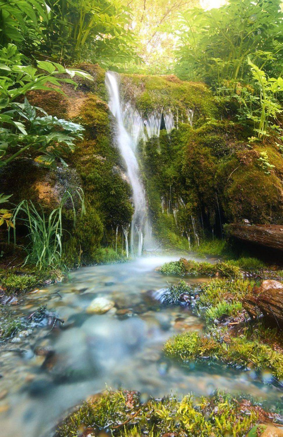 томск, томская область, звездный ключ, ручей, вода, родник., Анна Аникина