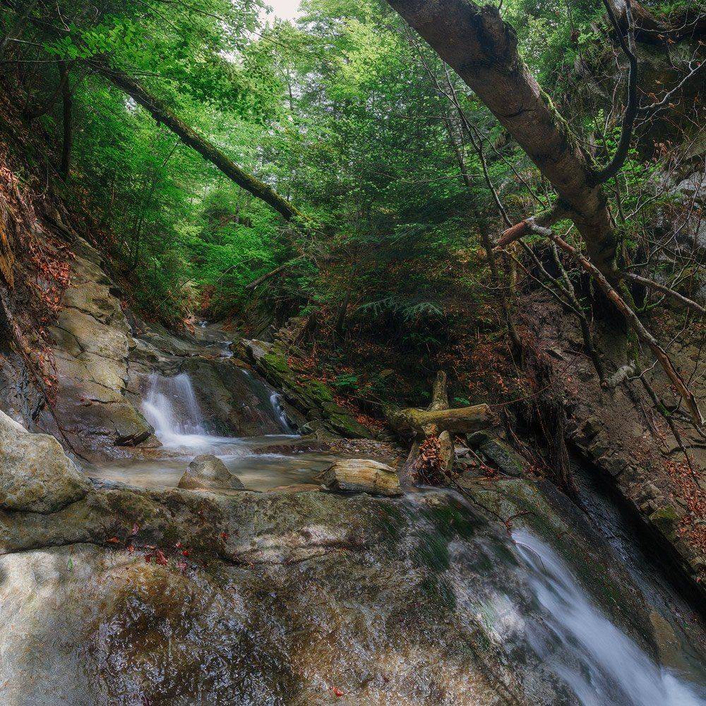 , Ярослав Тюрменко (Jaremi)