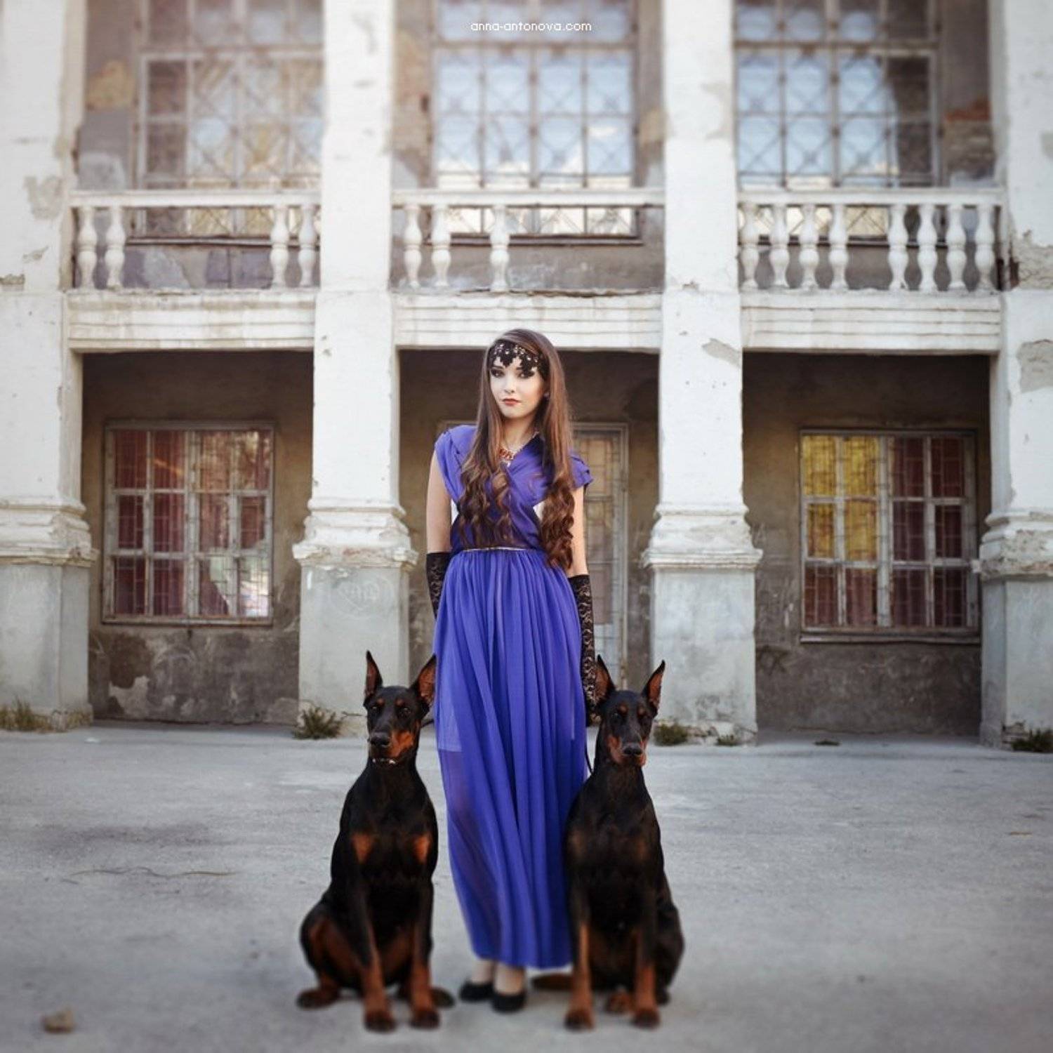 portpait, dog, doberman, girl, Анна Антонова