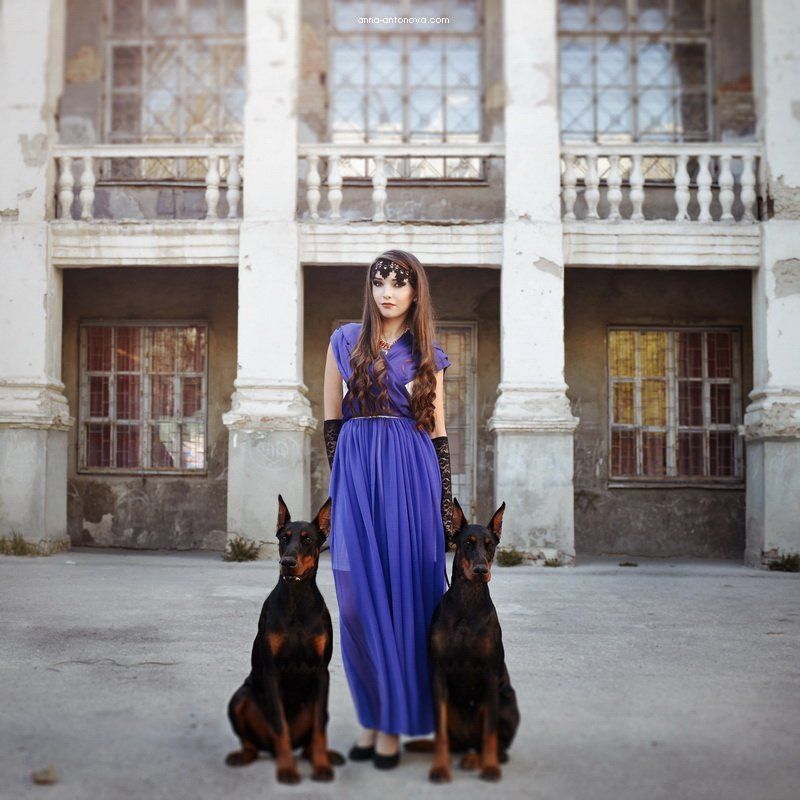 portpait, dog, doberman, girl  фото превью