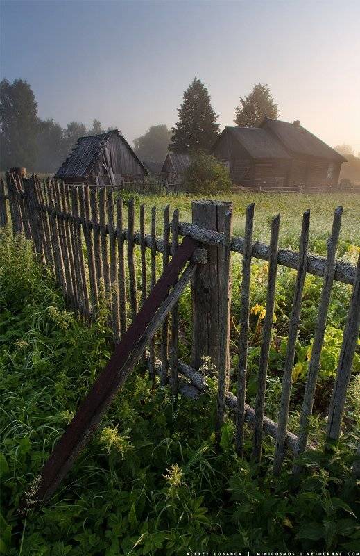 ярославская область, Алексей Лобанов