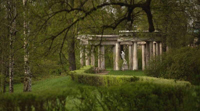 весна, май, павловский парк, утро, питер, павловск, павловский, павловский парк,санкт-петербург,  городской пейзаж Майским утром в Павловске фото превью