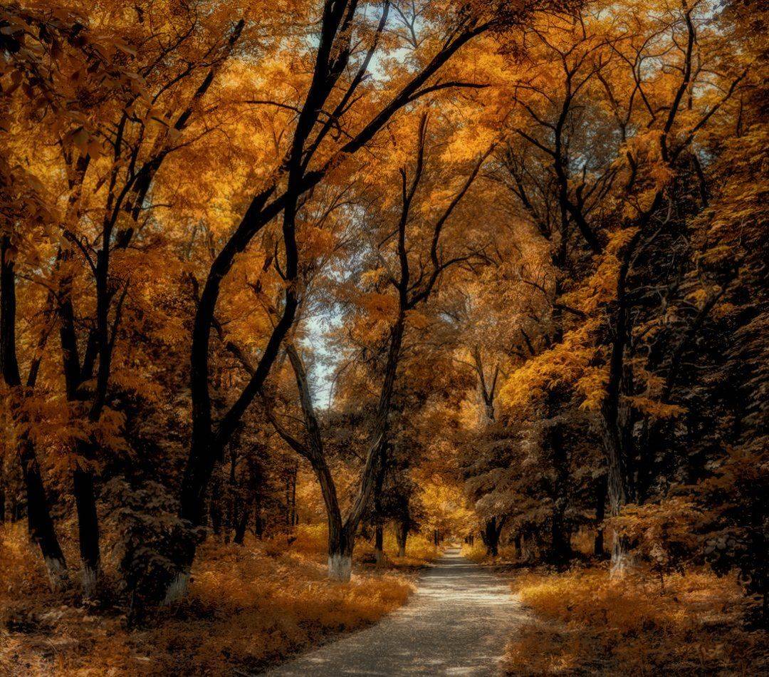 , Игорь Мелекесцев