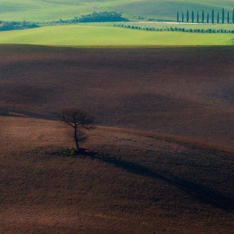 Шоколад с Фисташками фото превью