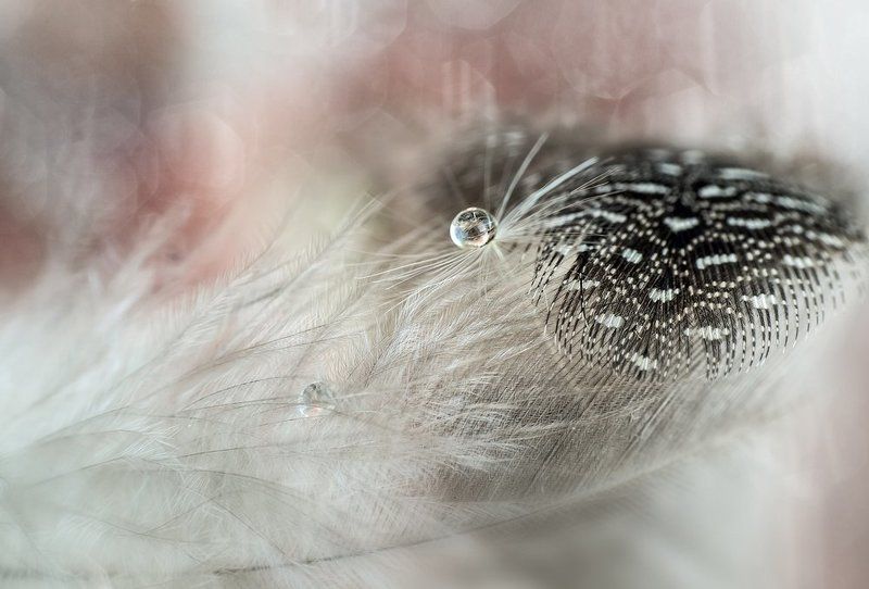 Sleeping Beauty фото превью