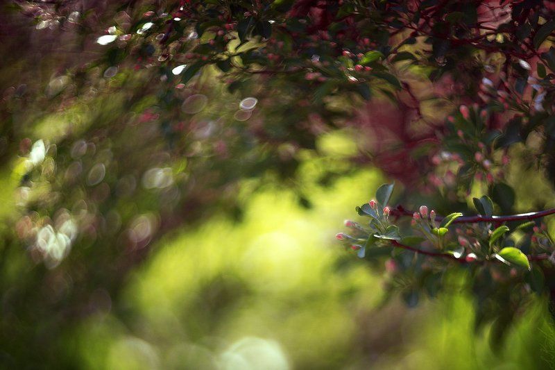 Нежность фото превью