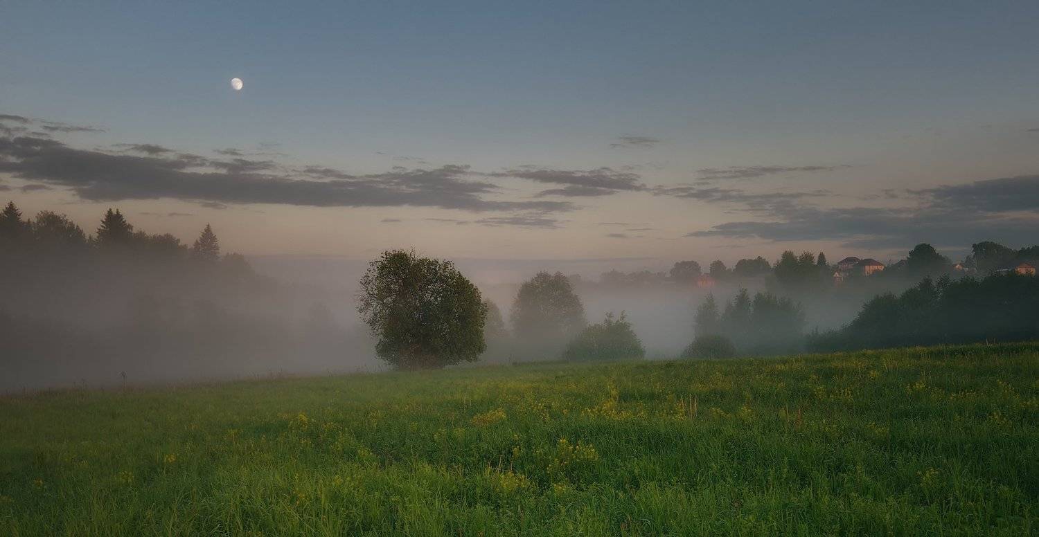 , Алексей Никонов