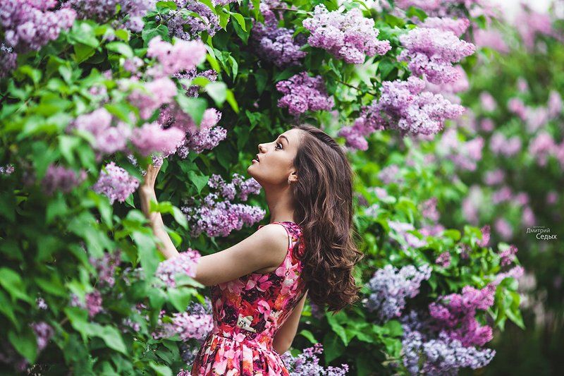 цветение фото превью