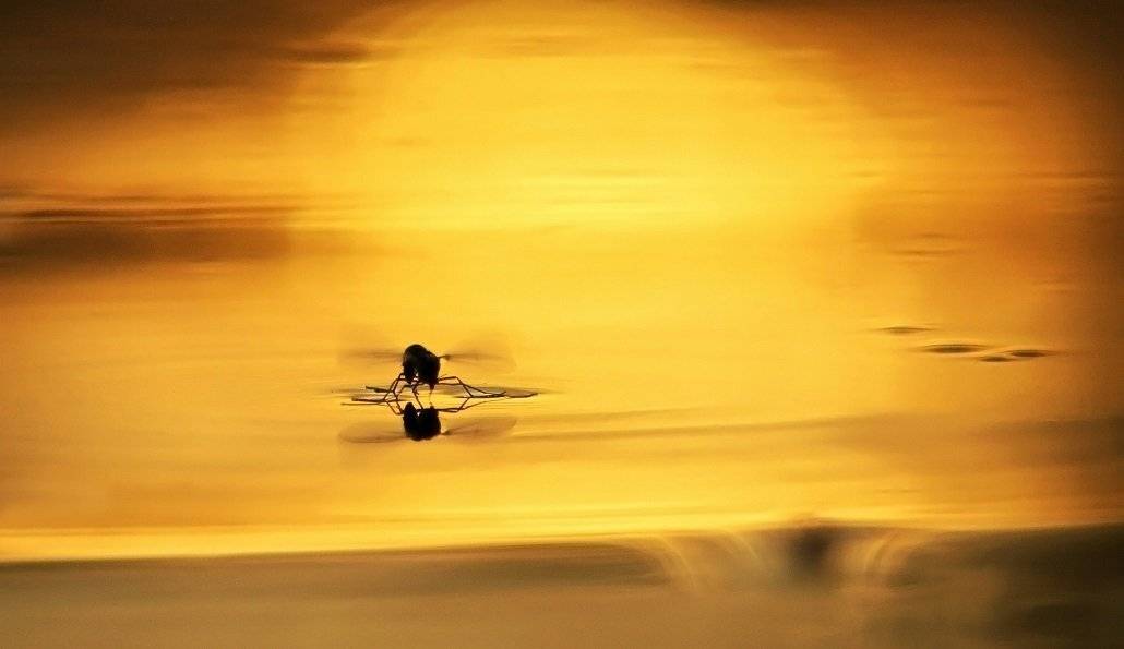 , Александр Журавлёв