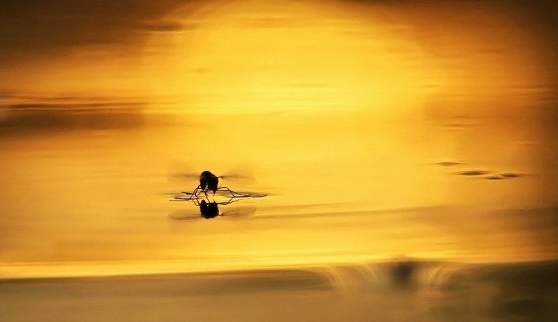 Гидроплан фото превью