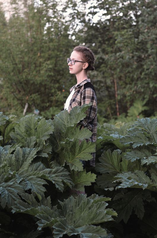 фото превью