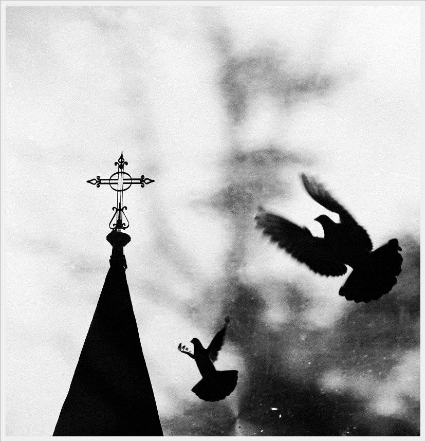 , Krzysztof Trojanowski