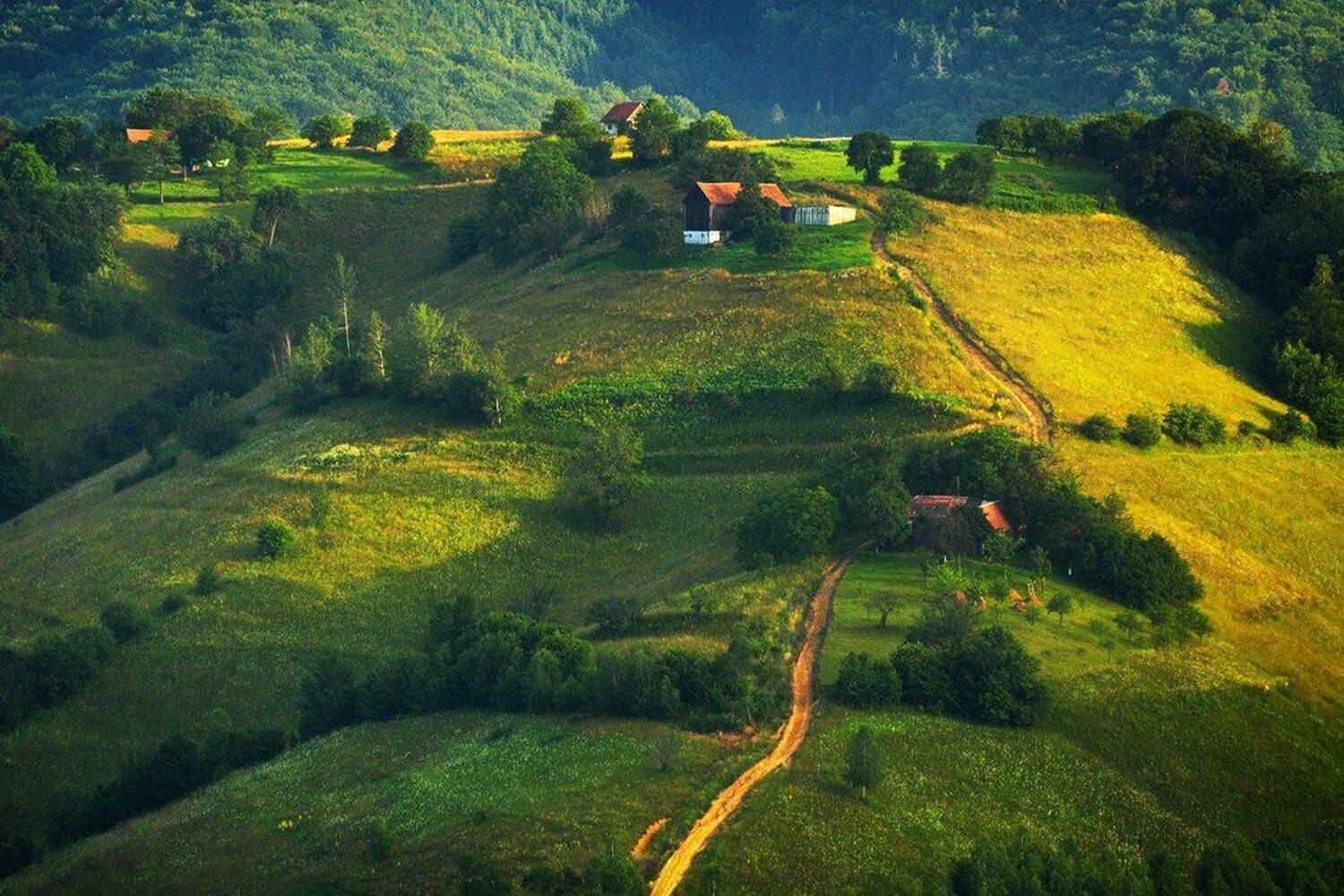 , Stefan Chirobocea