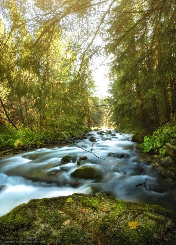 familygarden, poland, zakopane, kalatówki, kalatowki, zaporozhenko, vint26, sun, sunlight, tatra mountains, tatry, river The House Of Stone And Light фото превью
