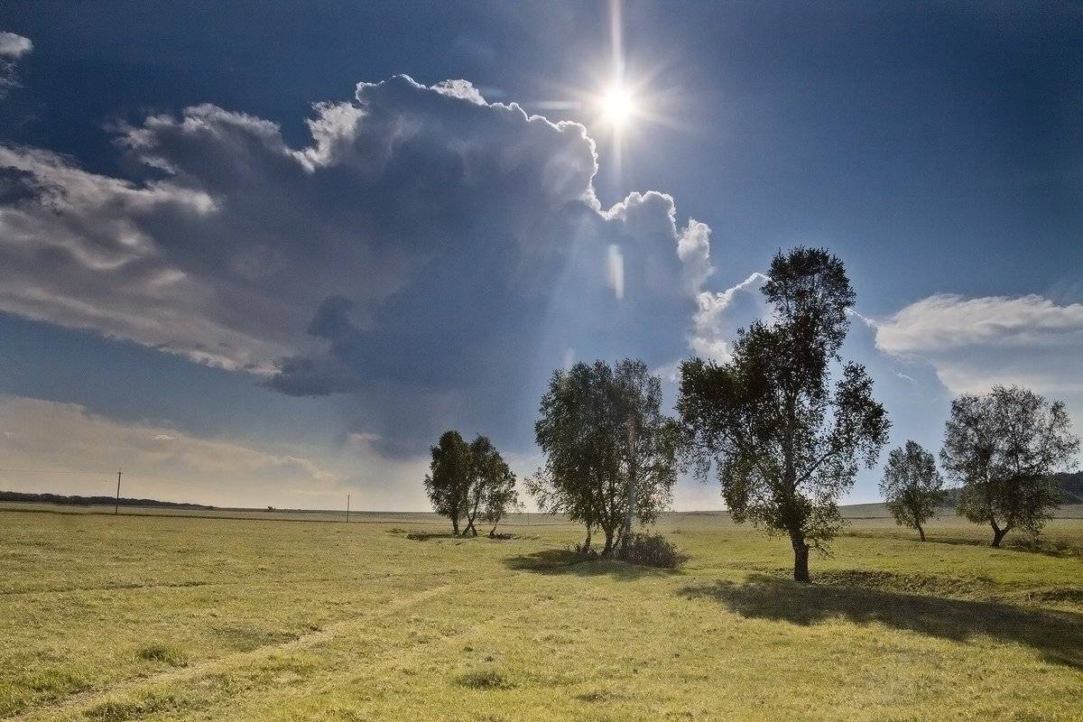 , Николай Морский