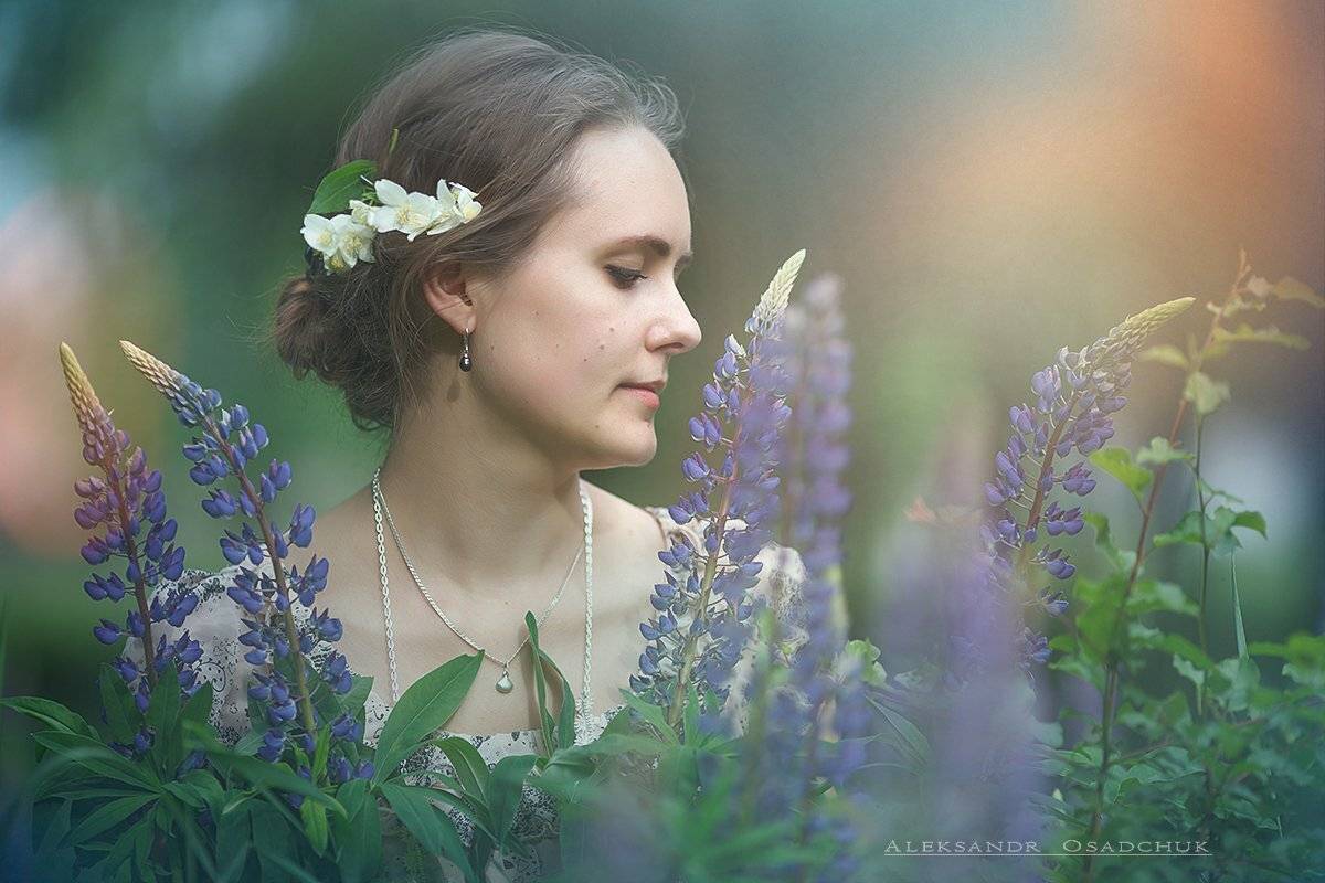 , александр осадчук