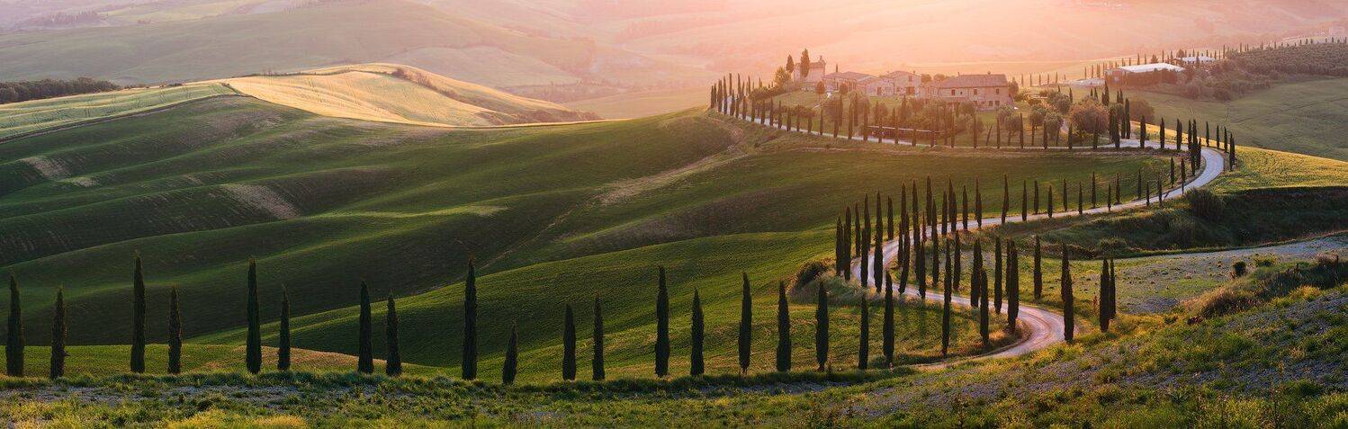 , Андрей Ведерников