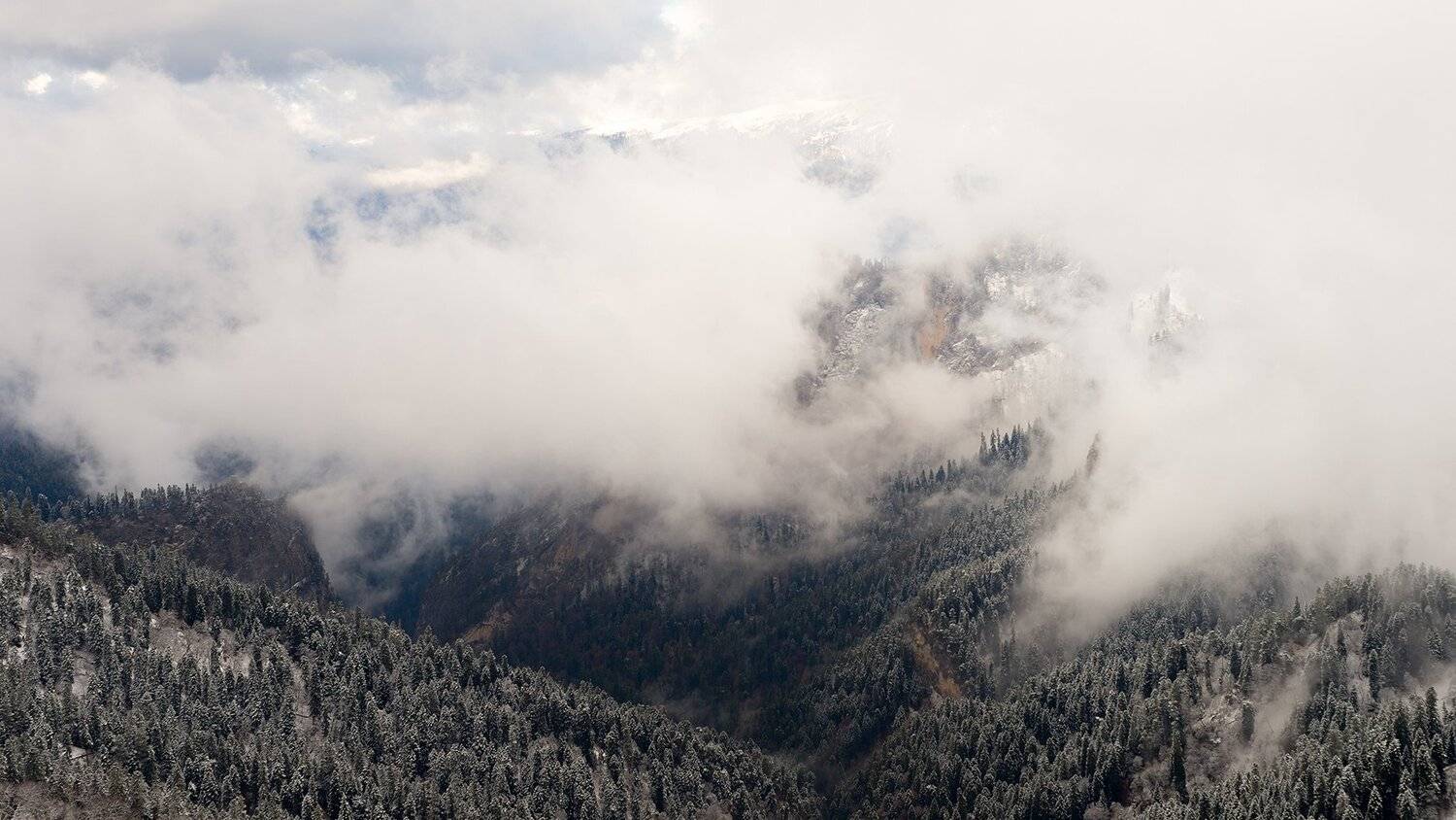 , Alexander Plekhanov