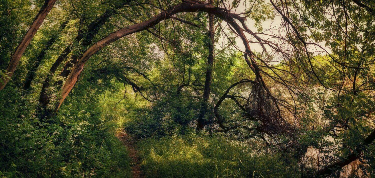 , Игорь Мелекесцев