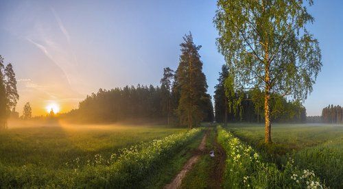 Любимый парк, или встречая рассвет.