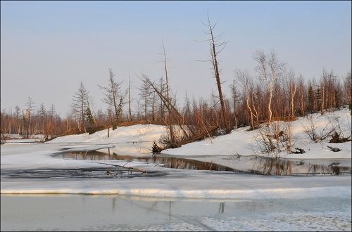 Весна-Лето