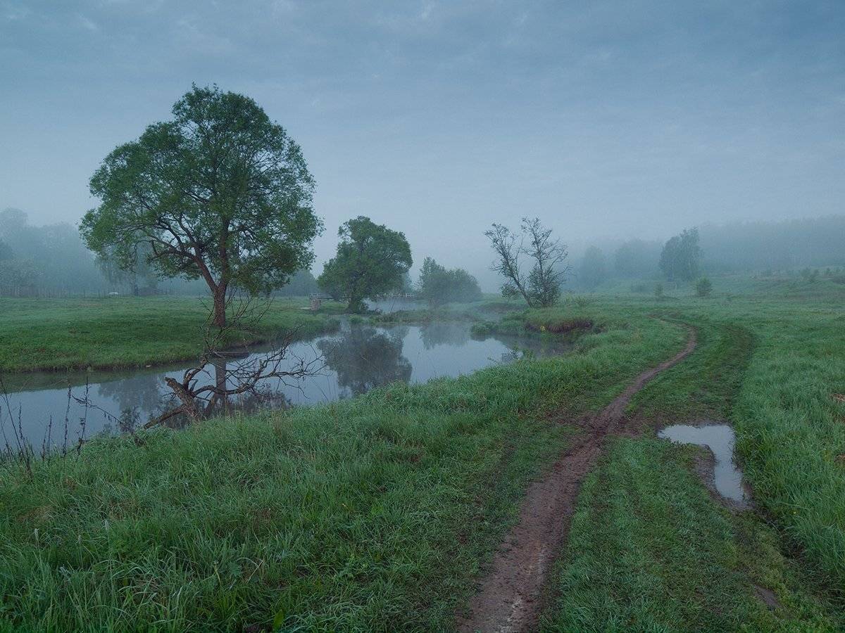 , Владимир Перепечаев