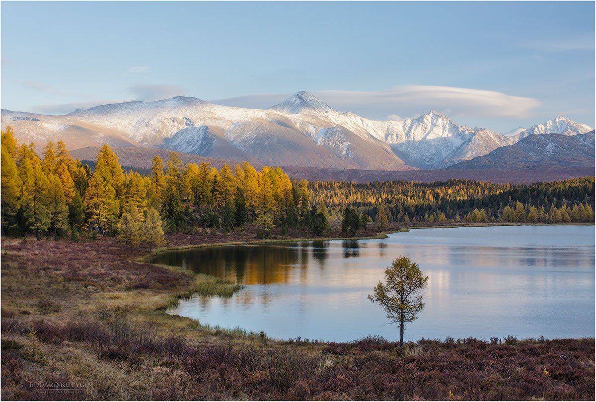 Алтай, Горы, Кеделю, Киделю, Ледник, Лиственница, Нагорье., Одинокая, Одинокое дерево, Озеро, Отдельностоящее, Отражения, Снег, Улаганское, Кутыгин Эдуард