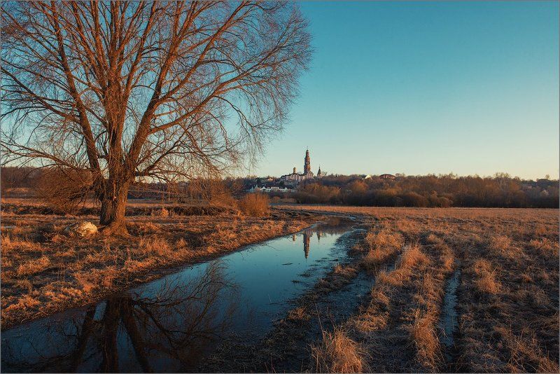 россия, рязанская область, пощупово, весна, пейзаж, природа, поле, дерево,   фото превью