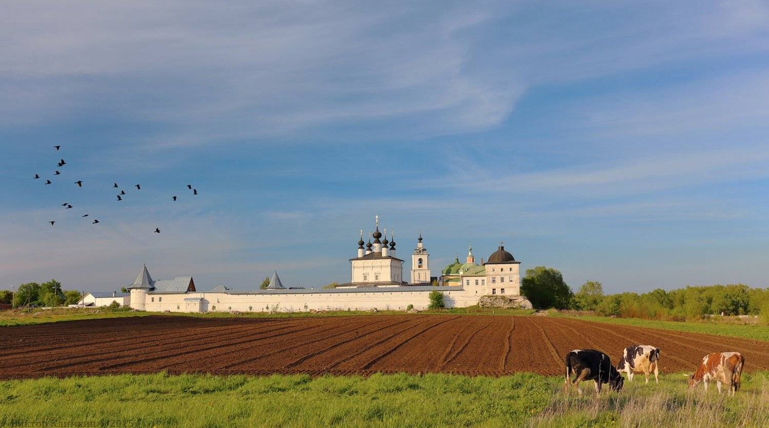 вороны, кашира, коровы, монастырь, пашня, свято-троицкий белопесоцкий мона, стадо, ступино, храм, Виктор Климкин