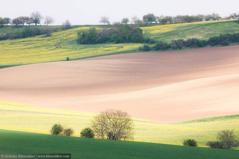 Южная Моравия, Чехия, Southern Moravia, Czech Republic, Волны Южной Моравии фото превью