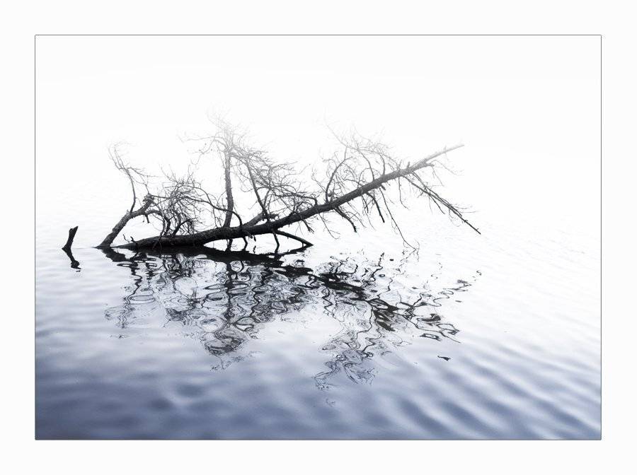 вода, дерево, Курочкина Диана