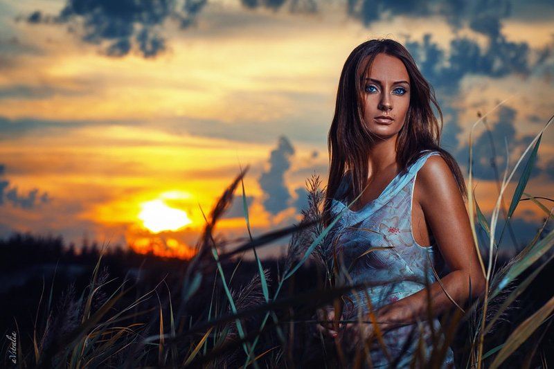 Девушка, закат Ночная гостья фото превью