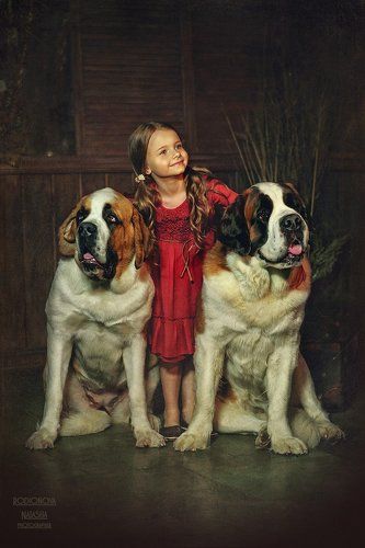 Добрые друзья