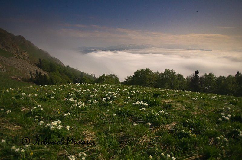 ночные горы, цветы и облака фото превью