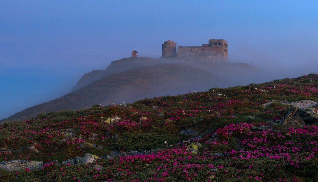 , Ярослав Тюрменко (Jaremi)