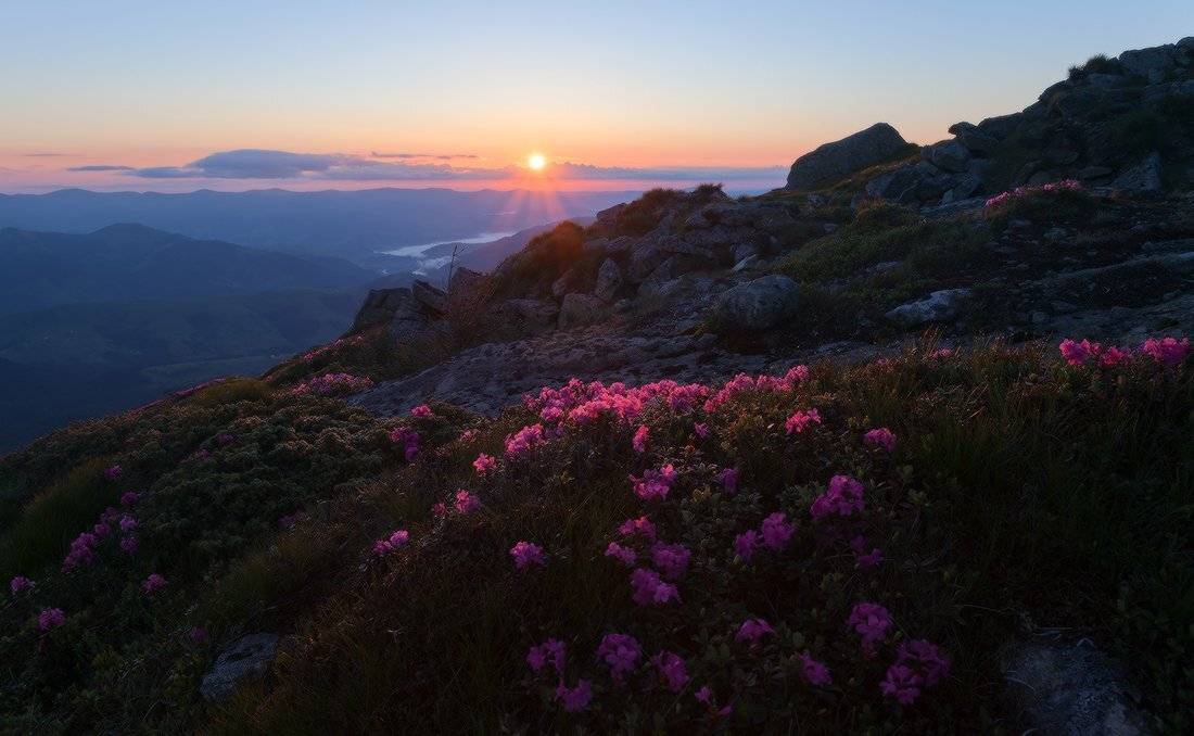 , Ярослав Тюрменко (Jaremi)