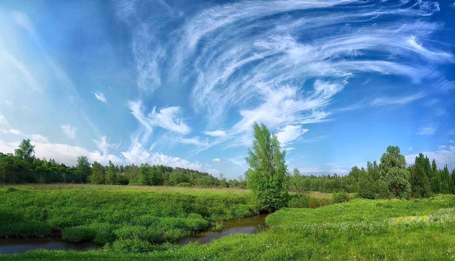 , Марина Брыдня