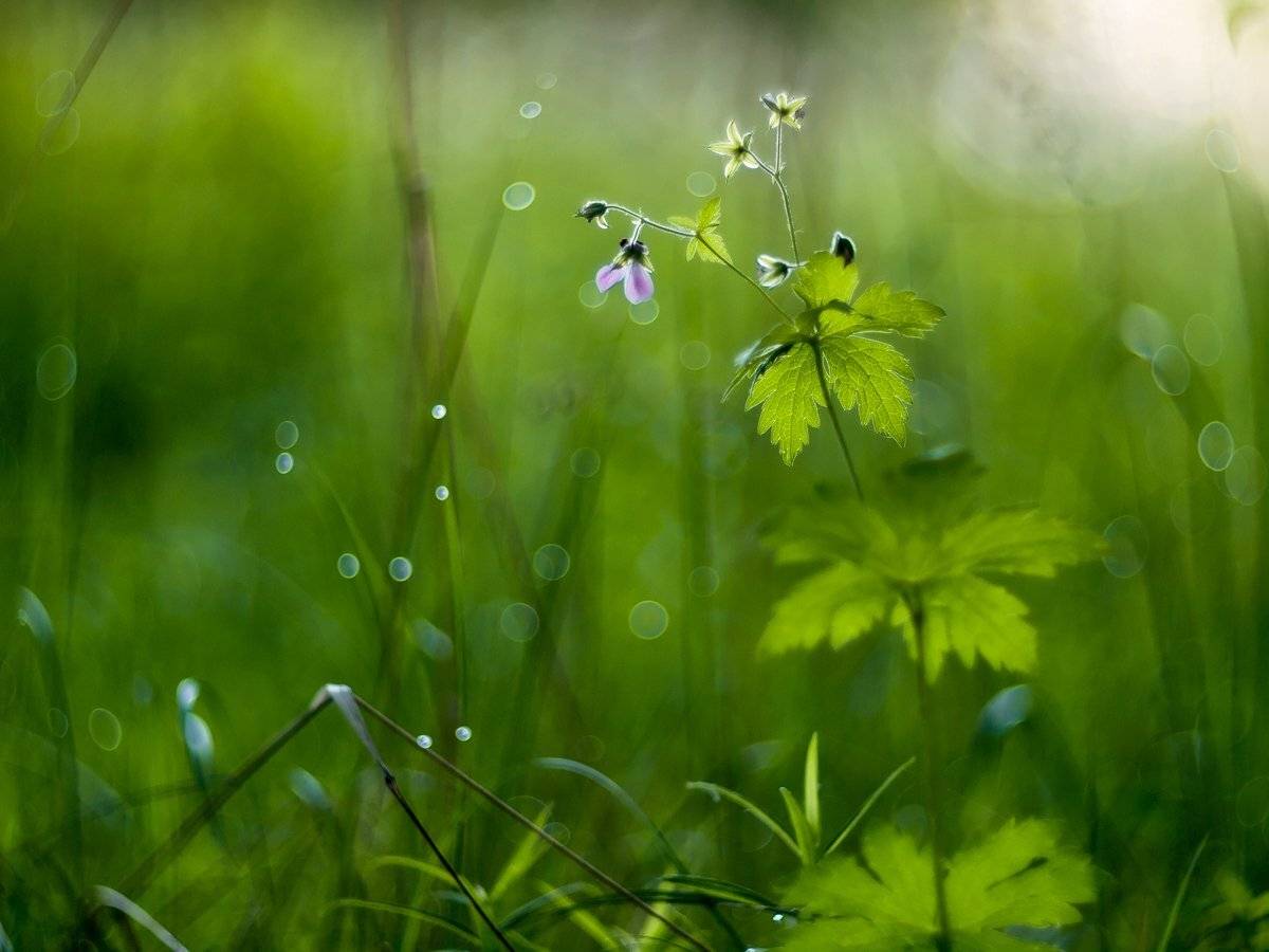 , Марина Брыдня