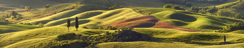 Тоскана III фото превью